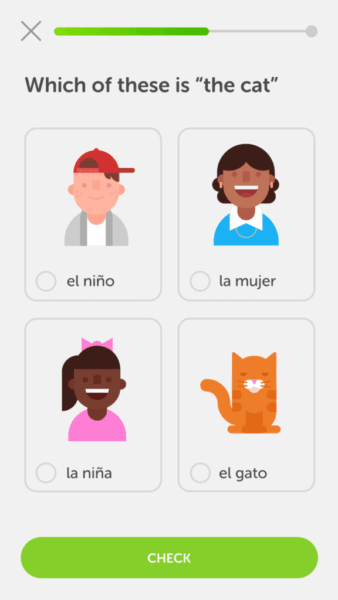 duolingo cards